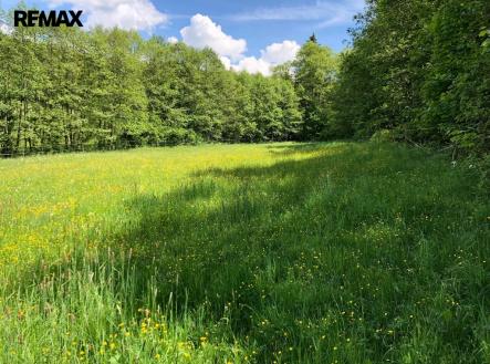 449799c4-dc99-4a6b-9836-9f991750bbe0.jpeg | Prodej - pozemek, trvalý travní porost, 14 292 m²