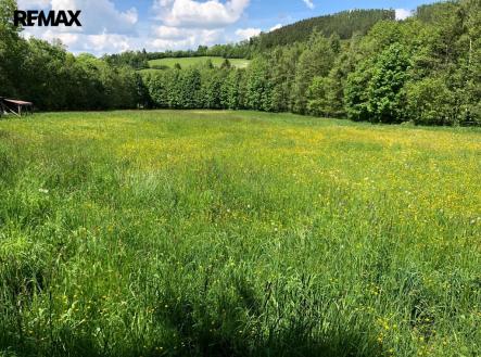 3bf2d1fd-0690-4a41-bb7b-840692b60e5e.jpeg | Prodej - pozemek, trvalý travní porost, 14 292 m²