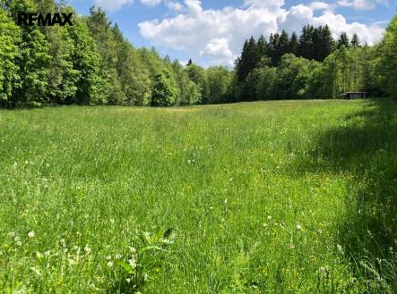 4647b94d-3ad8-41a5-b808-2470fb829588.jpeg | Prodej - pozemek, trvalý travní porost, 14 292 m²