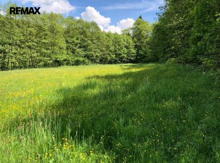 449799c4-dc99-4a6b-9836-9f991750bbe0.jpeg | Prodej - pozemek, trvalý travní porost, 14 292 m²
