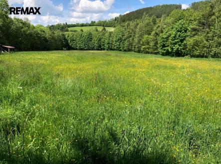 3bf2d1fd-0690-4a41-bb7b-840692b60e5e.jpeg | Prodej - pozemek, trvalý travní porost, 14 292 m²