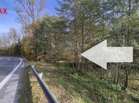 20251021-142052.jpg | Prodej - pozemek, trvalý travní porost, 2 859 m²