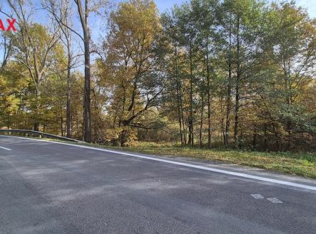 20251021-142934.jpg | Prodej - pozemek, trvalý travní porost, 2 859 m²