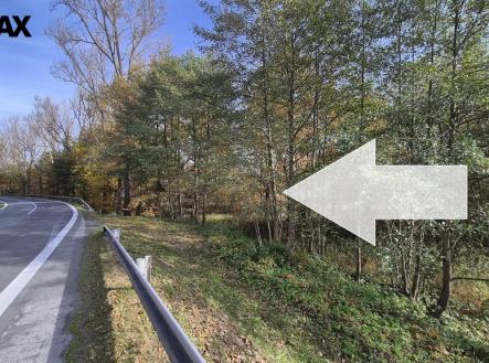 20251021-142052.jpg | Prodej - pozemek, trvalý travní porost, 2 859 m²