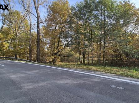 20251021-142934.jpg | Prodej - pozemek, trvalý travní porost, 2 859 m²