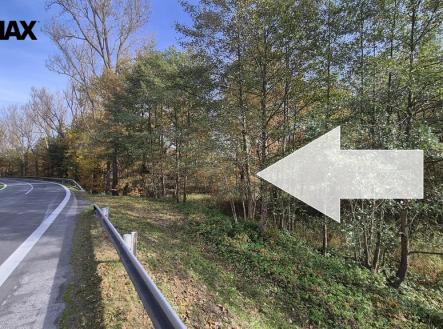 20251021-142052.jpg | Prodej - pozemek, trvalý travní porost, 2 859 m²