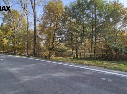 20251021-142934.jpg | Prodej - pozemek, trvalý travní porost, 2 859 m²