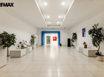 pana8698-hdr.jpg | Pronájem - kanceláře, 42 m²