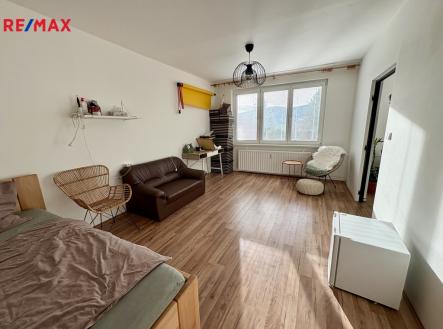 img-7256.jpeg | Pronájem bytu, 1+1, 42 m²