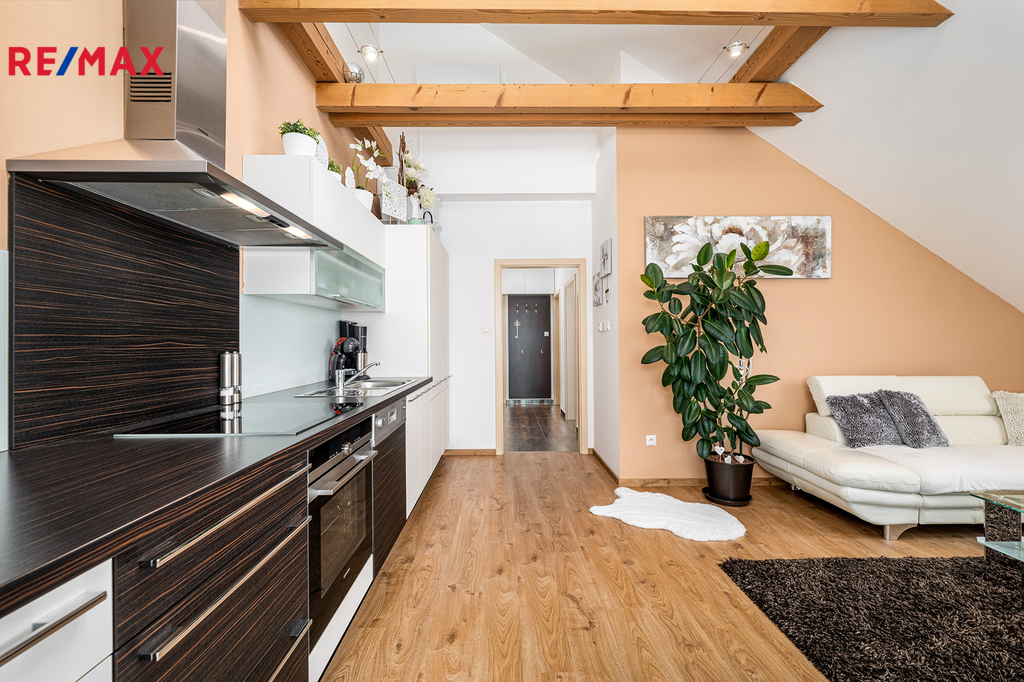 obývací pokoj s kuchyní