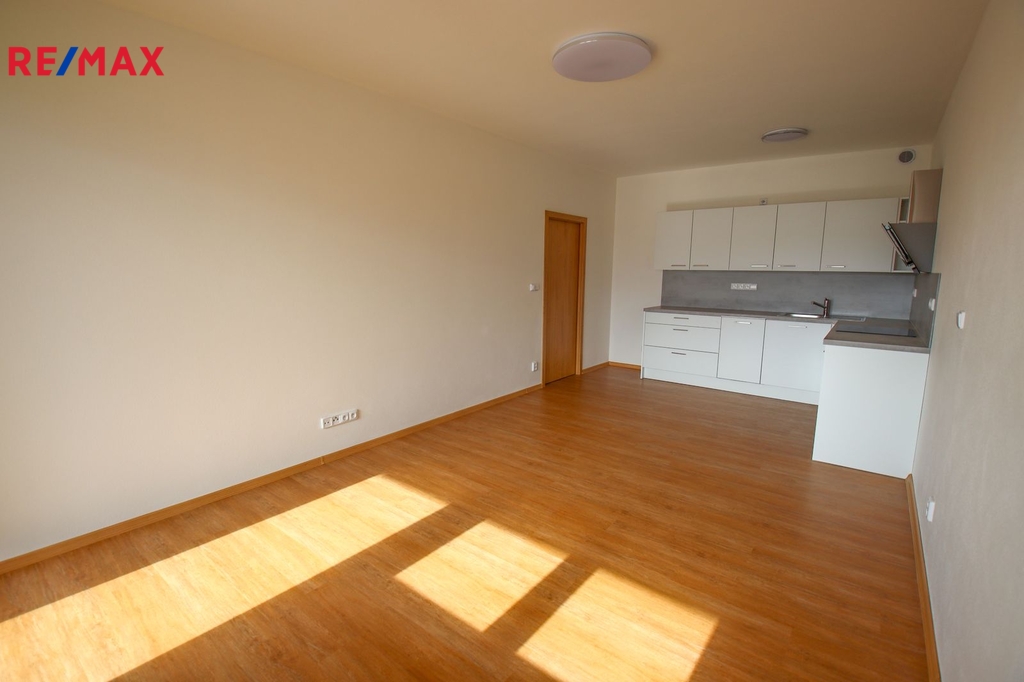 obývací pokoj s kuchyňským koutem