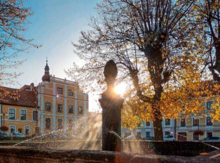 Nové Hrady náměstí | Prodej - pozemek pro bydlení, 3 912 m²