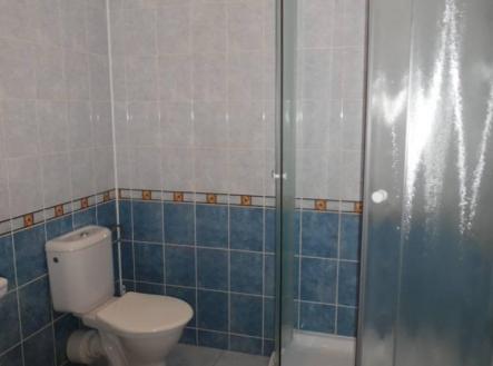 img_9f261a3171.jpg | Pronájem bytu, 1+kk, 21 m²