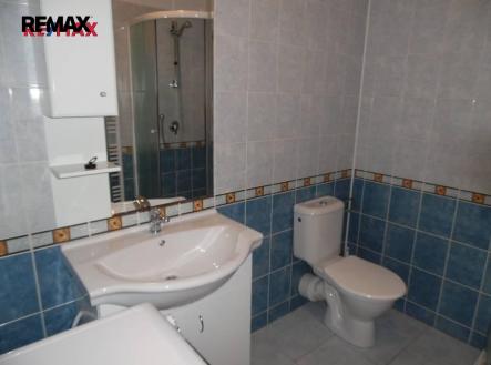 img_60ccef5177.jpg | Pronájem bytu, 1+kk, 21 m²