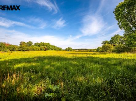 26-05-20-zabori-pozemek-foto-07.jpg | Prodej - pozemek pro bydlení, 2 521 m²