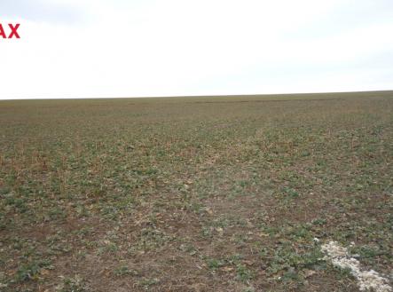 Pohled na pozemek při jeho levém okraji | Prodej - pozemek pro bydlení, 895 m²