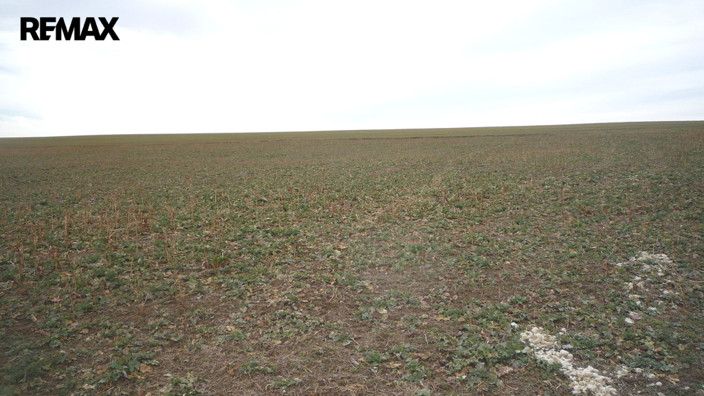 Pohled na pozemek při jeho levém okraji