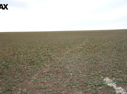 Pohled na pozemek při jeho levém okraji | Prodej - pozemek pro bydlení, 895 m²