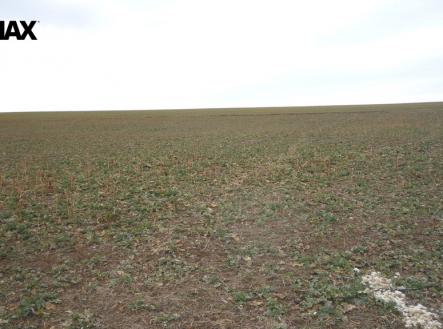 Pohled na pozemek při jeho levém okraji | Prodej - pozemek pro bydlení, 895 m²