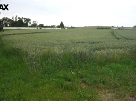 p1240888.jpg | Prodej - pozemek pro bydlení, 985 m²