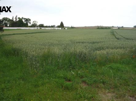 Prodej - pozemek pro bydlení, 985 m² obrázek