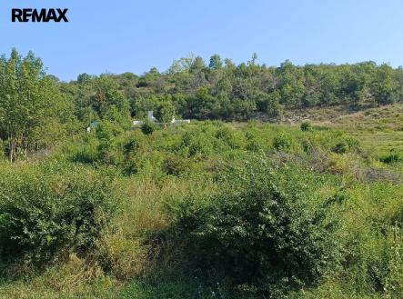 img-20240828-wa0005.jpg | Prodej - pozemek pro bydlení, 2 650 m²