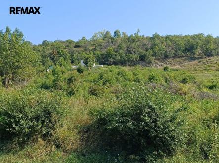 img-20240828-wa0005.jpg | Prodej - pozemek pro bydlení, 2 650 m²