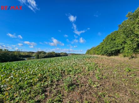 20240927-102158-resized.jpg | Prodej - pozemek, zemědělská půda, 18 938 m²