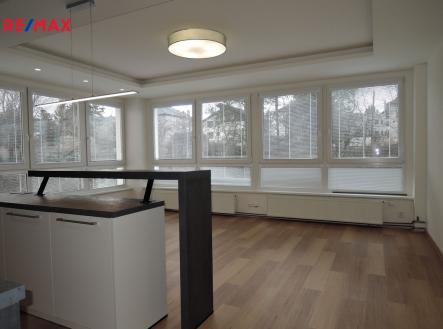 dscn7455.jpg | Pronájem bytu, 5+kk, 113 m²