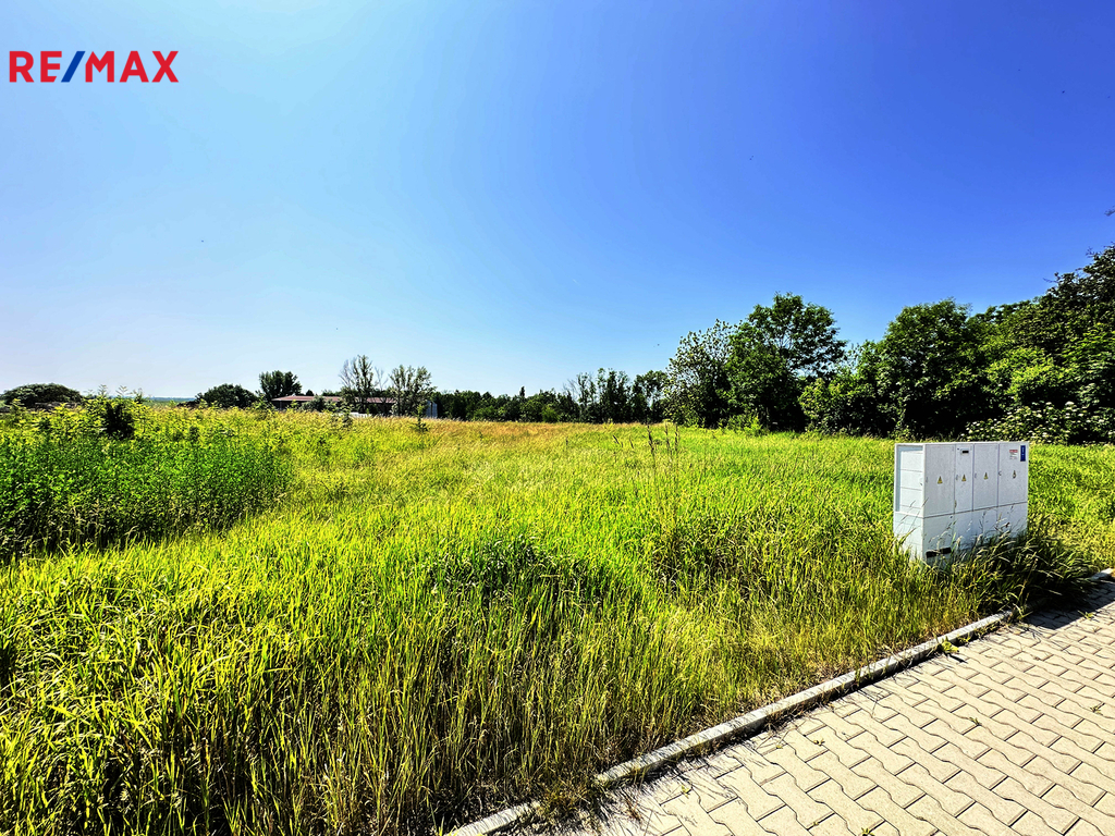 img-0876.jpg