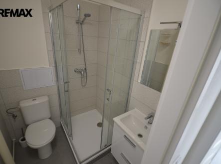 dsc-0688.jpg | Pronájem bytu, 1+1, 28 m²