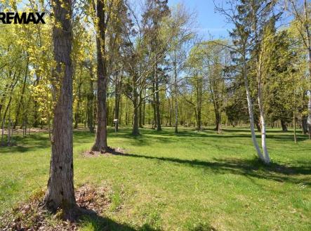 dsc-0698.jpg | Pronájem - pozemek, zahrada, 800 m²
