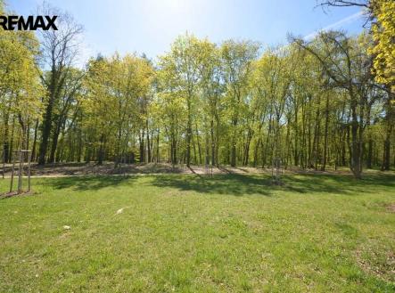 dsc-0697.jpg | Pronájem - pozemek, zahrada, 800 m²