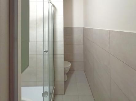 hned za nimi vpravo je sociální zařízení, | Pronájem bytu, 1+kk, 19 m²
