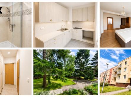 kolaz-byt-sirka.png | Pronájem bytu, 2+1, 50 m²
