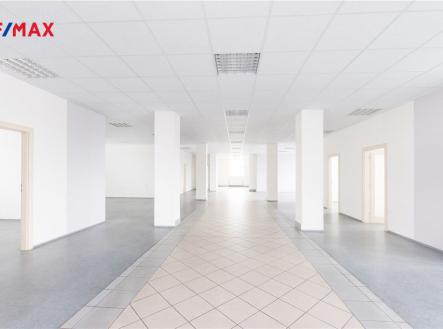 Pronájem - kanceláře, 614 m²