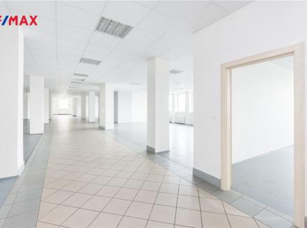 Pronájem - kanceláře, 614 m²
