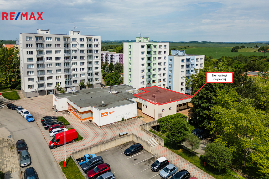 dsc-3.jpg