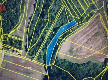 20250713-195128.jpg | Prodej - pozemek, ostatní, 6 959 m²