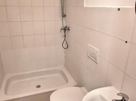 20251218-155848.jpg | Pronájem bytu, 1+kk, 20 m²