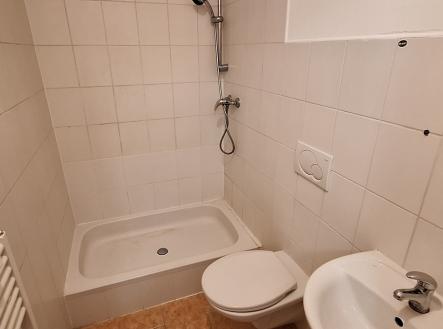 20251218-155840.jpg | Pronájem bytu, 1+kk, 20 m²