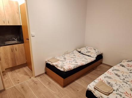 20251218-154618.jpg | Pronájem bytu, 1+kk, 17 m²