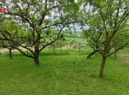 img-20240516-160943.jpg | Prodej - pozemek, zahrada, 1 279 m²