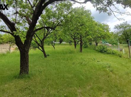 img-20240516-160429.jpg | Prodej - pozemek, zahrada, 1 279 m²