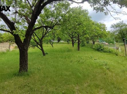 img-20240516-160429.jpg | Prodej - pozemek, zahrada, 1 279 m²