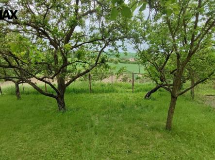 img-20240516-160943.jpg | Prodej - pozemek, zahrada, 1 279 m²