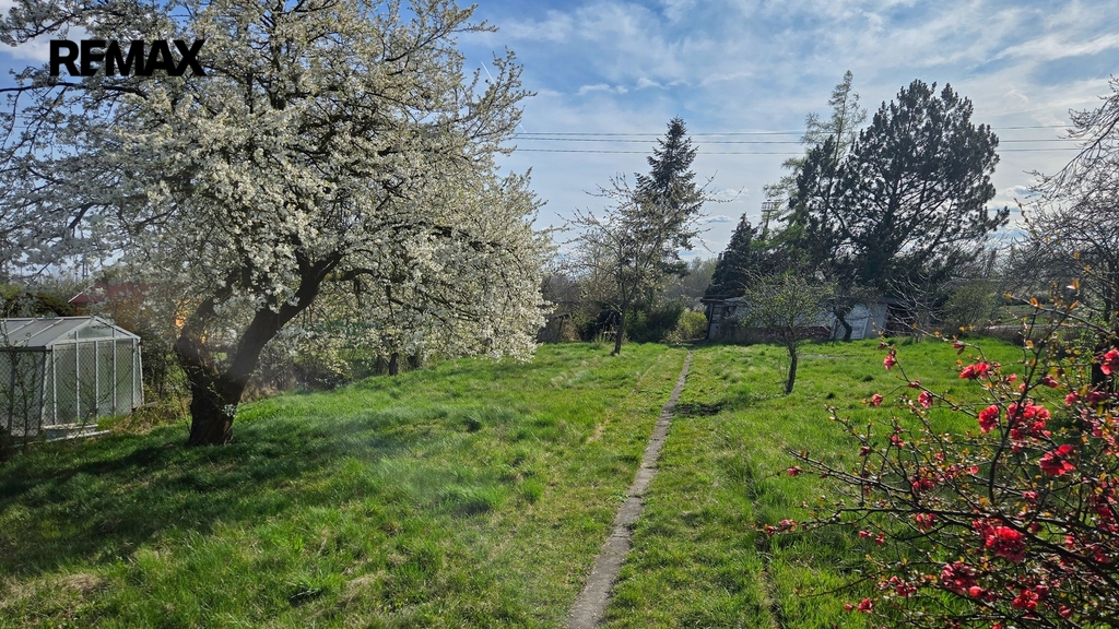 Pohled do zahrady od přístupové cesty