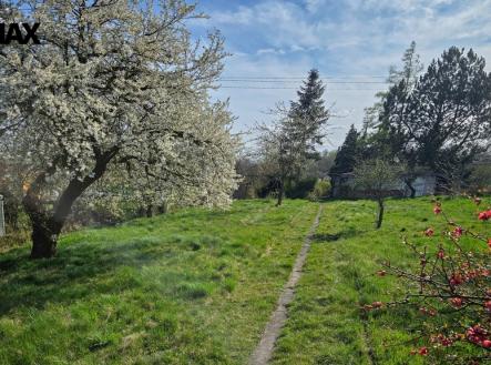 Pohled do zahrady od přístupové cesty | Pronájem - pozemek, zahrada, 1 499 m²