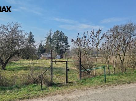 Pohled do zahrady od přístupové cesty | Pronájem - pozemek, zahrada, 1 499 m²