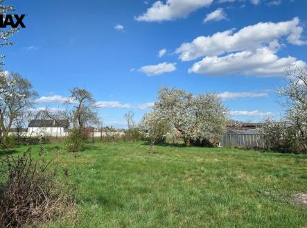 Pohled od chatky k přístupové cestě | Pronájem - pozemek, zahrada, 1 499 m²